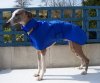 blue_coat_in_collar_004_resize.jpg