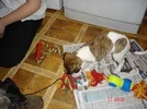 Picture_763.webp