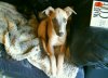 DSC00023.JPG