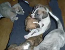 5w_fight.webp