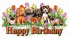 HappyBirthdayDogs.gif