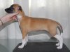 Shay_206_5_20weeks_202.jpg