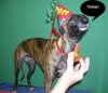 Willie_birthday_saus.jpg