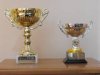 th_Trophies2009008.jpg