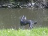 may2010_064a.jpg