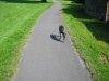 070605_josie_on_the_path.jpg