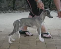 IMG_0957__640x518_.webp