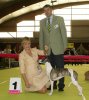 Nevedith_Pfa_Princess_BOB_Bourg_en_Bresse_finishing_her_international_championship_title.jpg