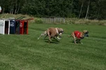 2012_09090011.webp