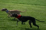 2012_09090038.webp
