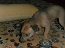 008.webp