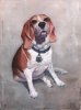Jack oil portrait by Purely Pet Portraits.jpg