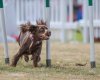 Agility A5113- low res.jpg