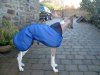 New_coat_K9.jpg