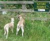 CROP_SundaywalktoReservoir019K9.jpg