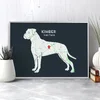 boxer-navy-ls.webp