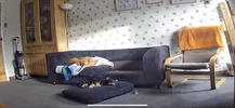 Image1.webp
