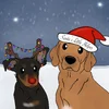 Dogs.webp
