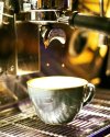 MEO-Brighton-cafe-organic-coffee.jpg