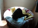 Sun Beam 1.webp
