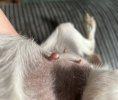 IMG_9684.jpeg