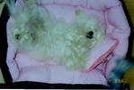 sleepy_Meg.webp