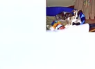 breeze.webp