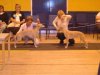 Bradley_and_Jessica_Whippet_Club_9.05.jpg