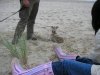 021005_little_lola_in_the_sand.jpg