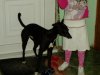 pups_DEBS_018.jpg