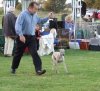 2006_0114fri13dogshow0033_rs.jpg