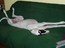 P1010142_1.webp