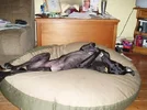 P1010144_1.webp