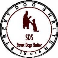 Street dog shelter