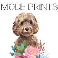 Mode Prints
