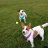Kaily