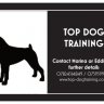Top Dog Training - Winchester, Hampshire
