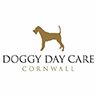 Doggy Day Care Cornwall - St Erth, Cornwall