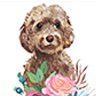 MODE PRINTS - Beautiful Watercolour Dog Portraits & Personalised Gifts