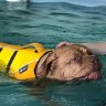 Hydrotherapy for Dogs - Cheshire