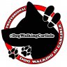 Dog Walking in Carlisle (Cumbria)