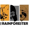 The Rainforester