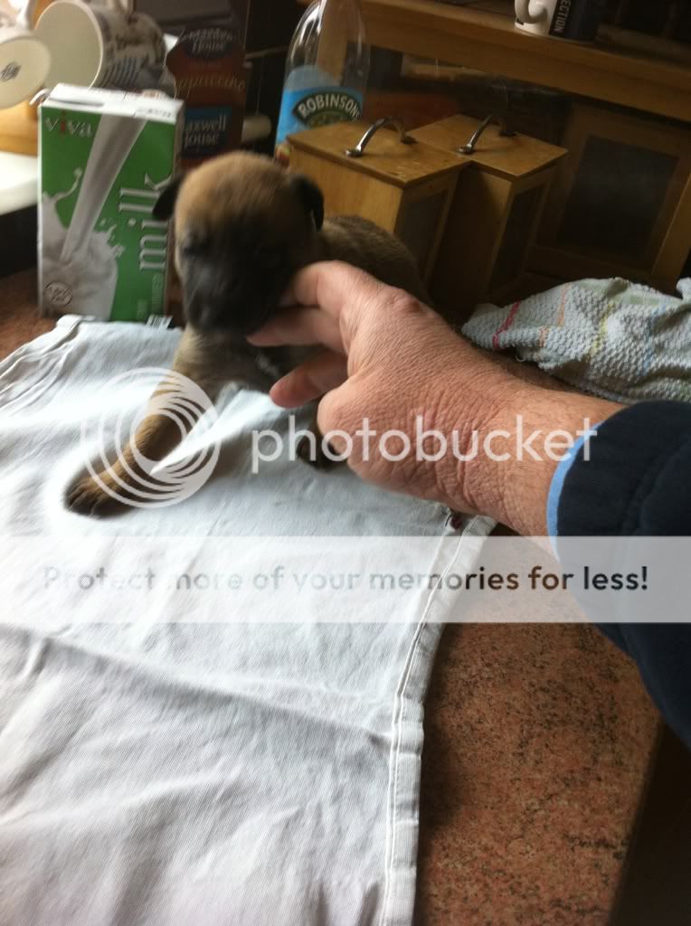 camera007.jpg