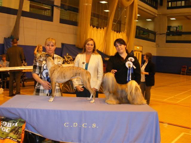 camberley20show20051.jpg