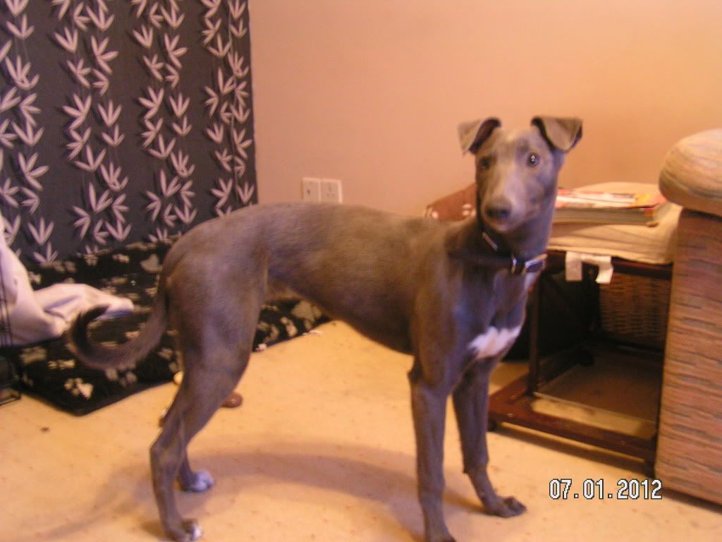PICT0090.jpg