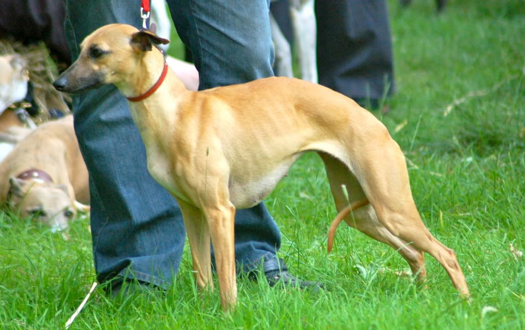 DSC_0062.jpg