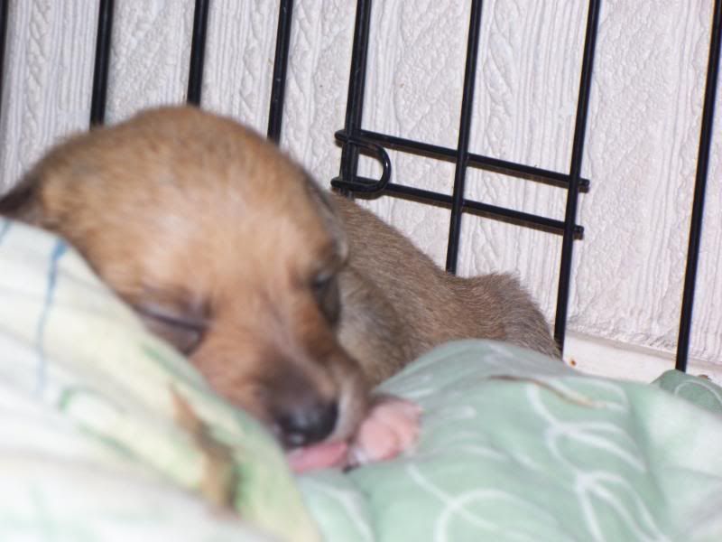 000_0434.jpg