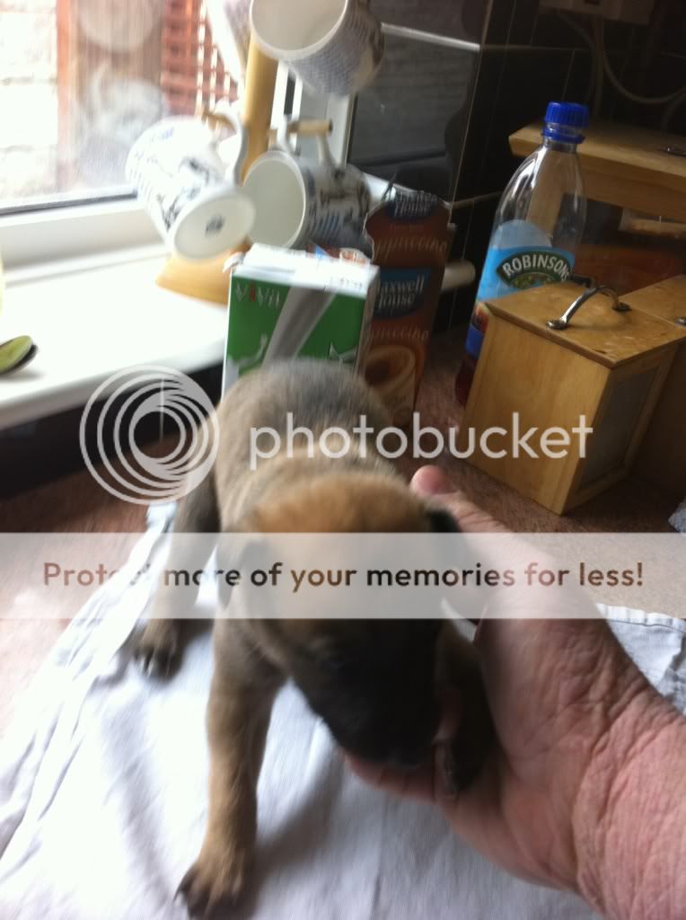 camera008.jpg