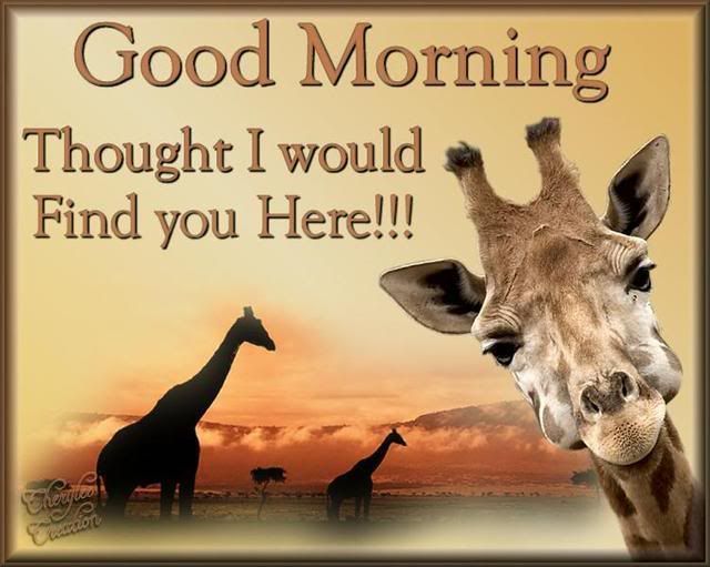 GoodMorningWallpaper.jpg