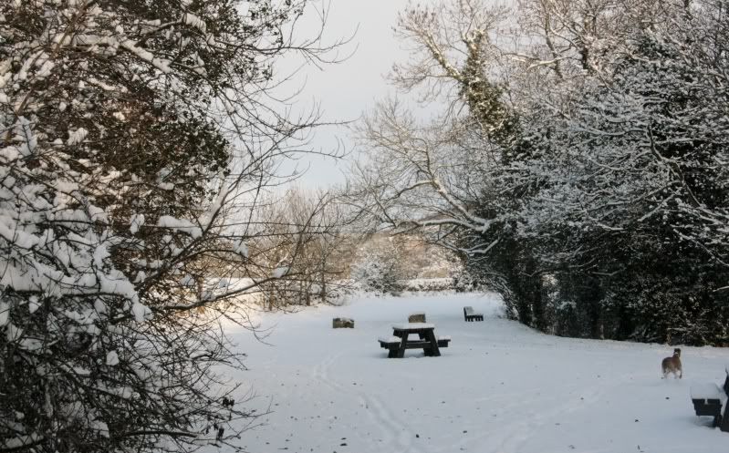 Evennmoresnow27112010005.jpg